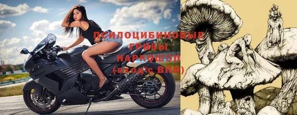 тгк Аркадак