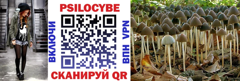 Псилоцибиновые грибы Magic Shrooms Поронайск