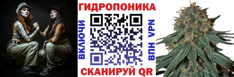 Бошки марихуана план  как найти закладки  Поронайск 